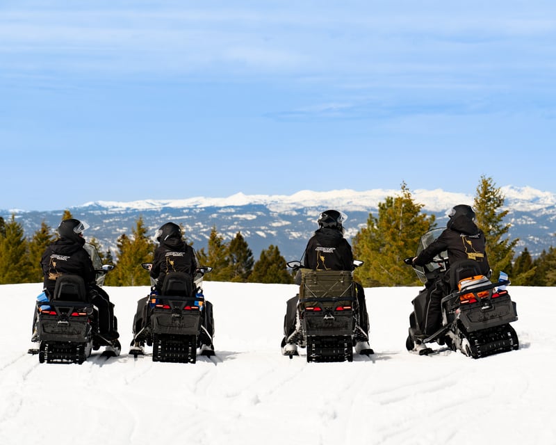 Full Day Guided Snowmobile Trip in Idaho Backcountry