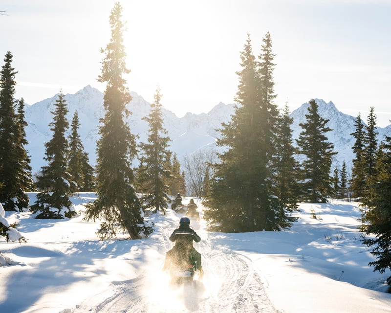 Boulder Creek Snowmobile Tour from Palmer, AK