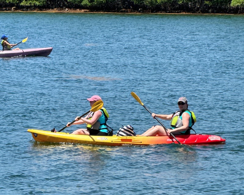 Guided Eco Paddle Tour at Oleta River State Park