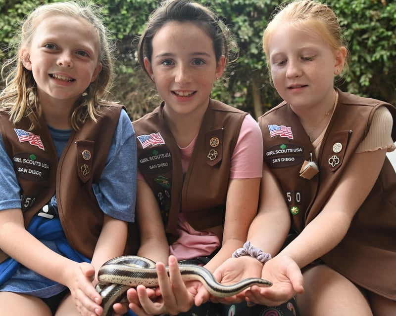 Scout Troop Animal Encounter at Helen Woodward Animal Center