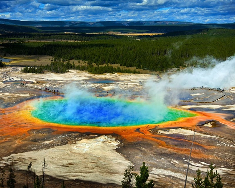 Yellowstone Lower Loop Biologist-Guided Tour