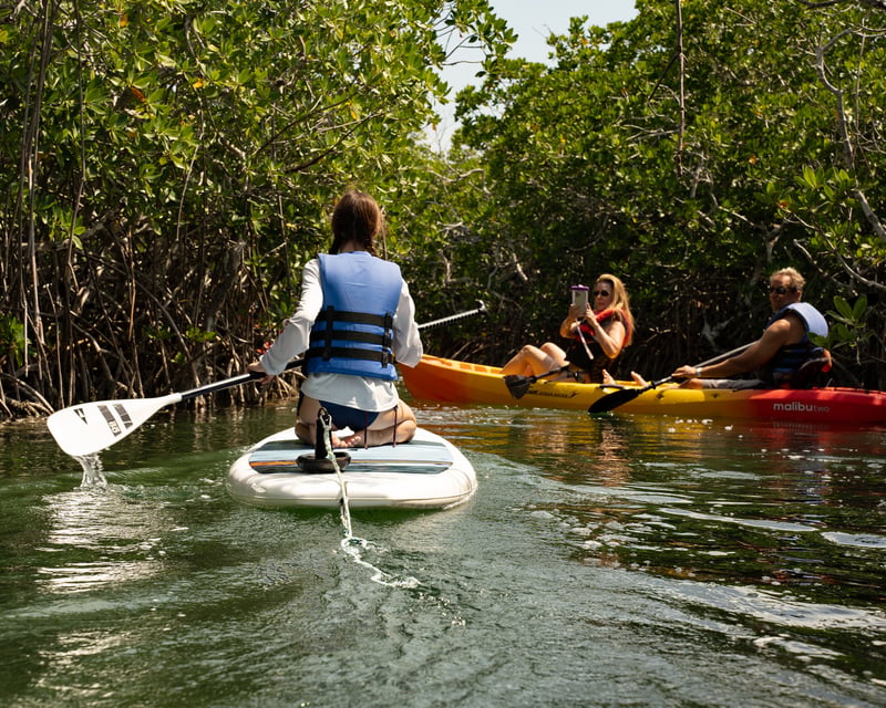 Key West Backcountry Mangrove Kayak Tour & Sandbar