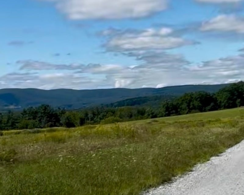 Scenic Guided E-Bike Tour in Richmond