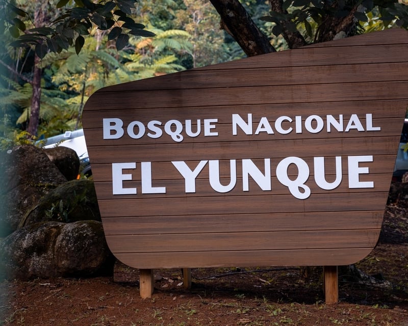 Guided Wheelchair-Accessible El Yunque Bus Tour