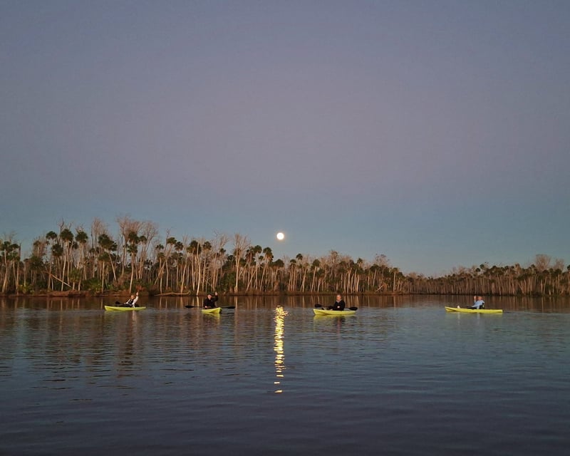Full Moon Kayaking Tour on Chassahowitzka River
