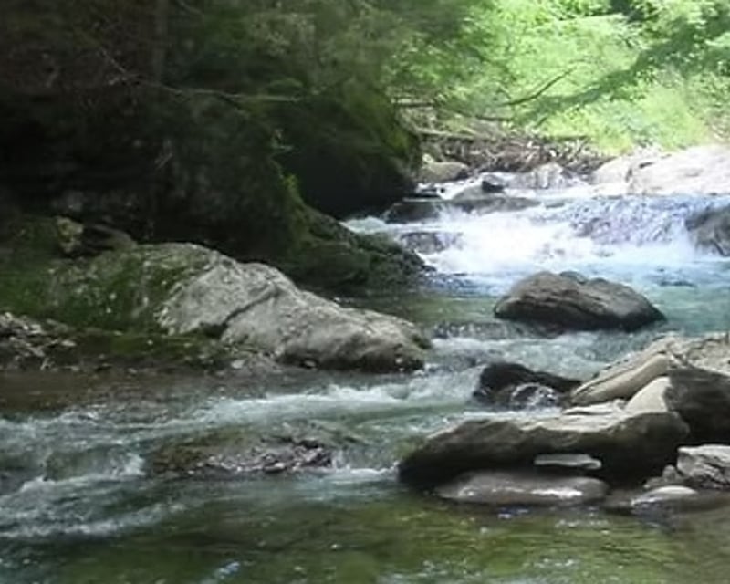 Full-Day Drift Boat Fishing Trip on Vermont Rivers