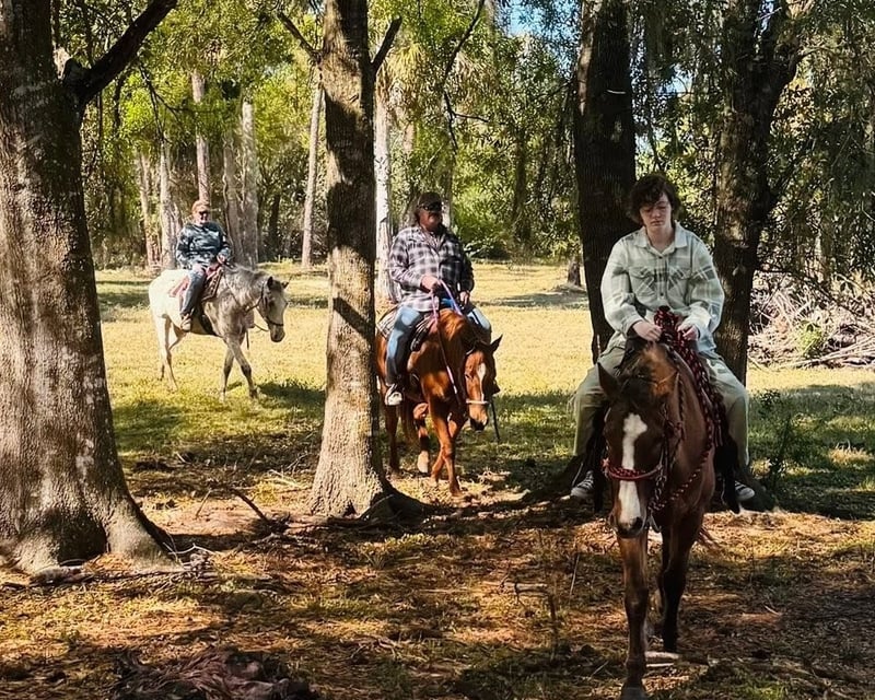 Private Beginner Horseback Trail Ride Near Fort Myers