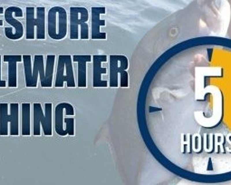 Barrier Island Bottom Fishing Charter in Gulfport