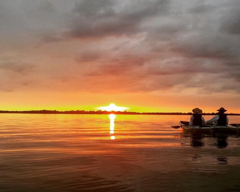 Early Morning Guided Kayak Tour in Cape Coral