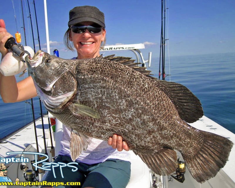 Everglades City 6-Hour Wreck Fishing Charter