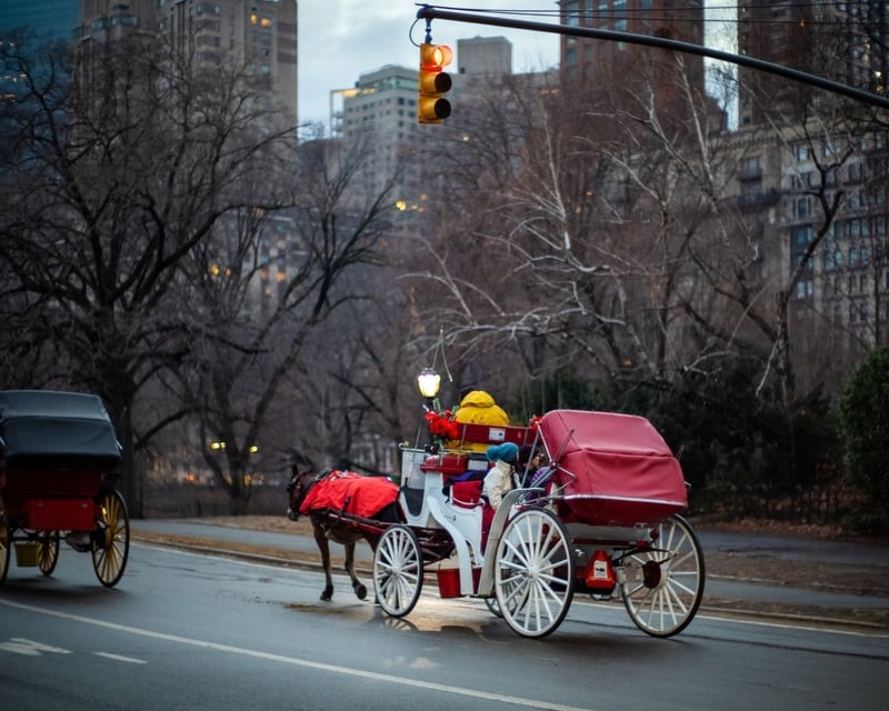 Central Park Horse Carriage Ride with Landmark Views