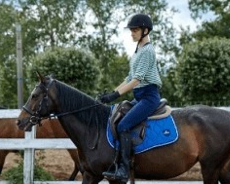 1-Hour Private Horse Riding Lesson in McClellanville