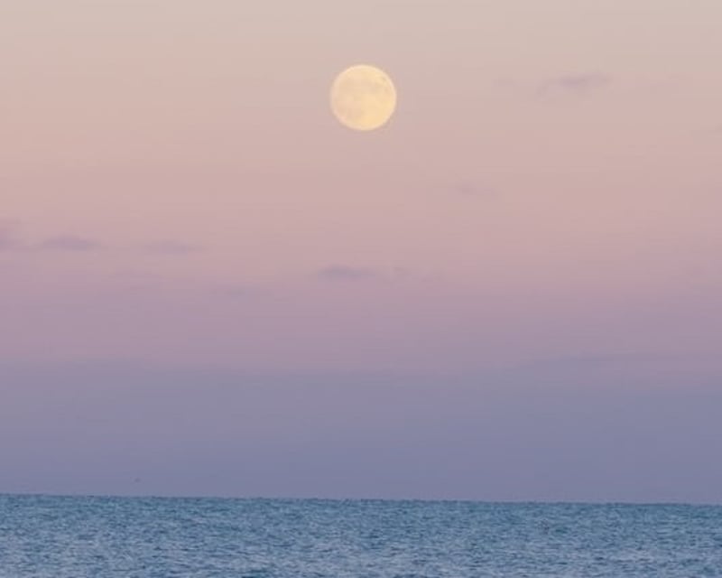 Moonlight Cruise Boat Tour in Charleston