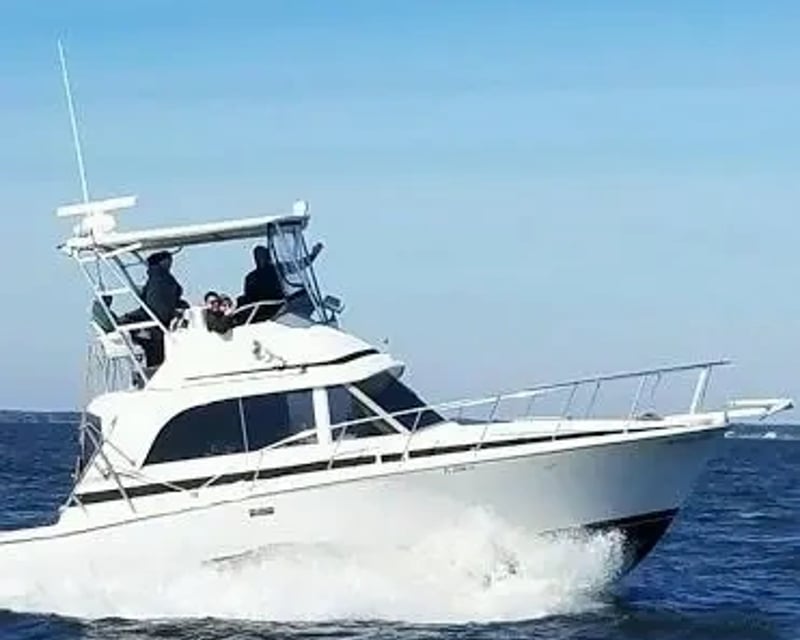 Gulf Fishing Private Charter in Destin