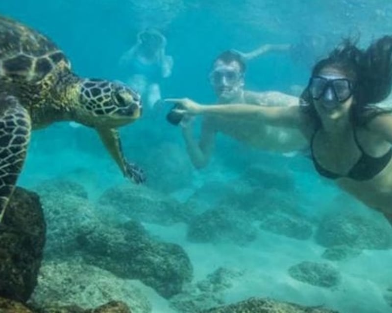 1.5-Hour Guided Canoe & Snorkel Tour in Waikoloa