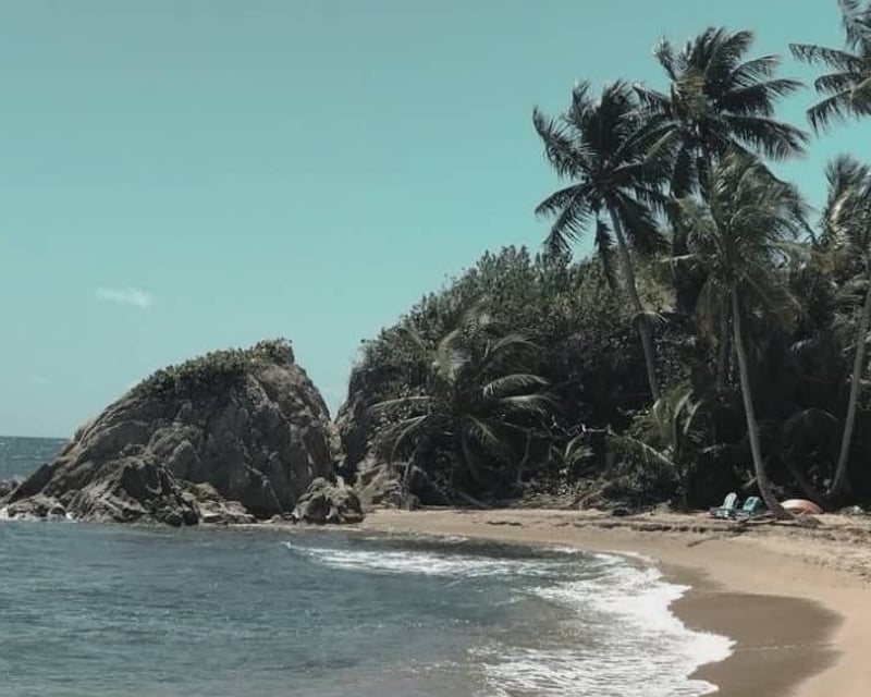 Build-Your-Own 2-Tour Combo in Fajardo, Puerto Rico