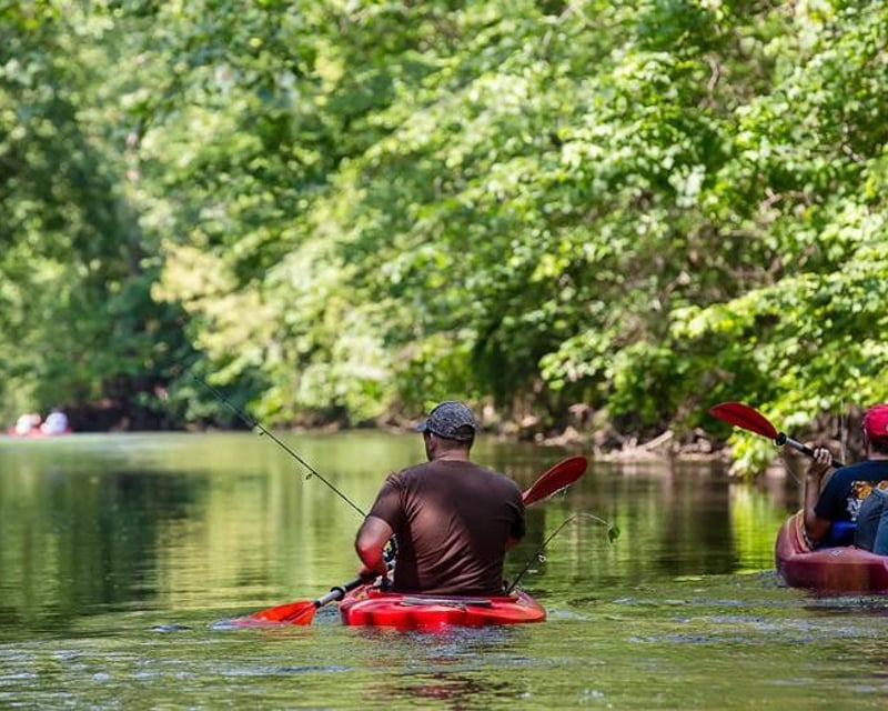 5-Mile Mad River Canoe, Kayak & Tube Float