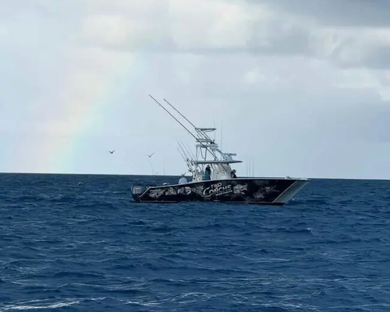 Private 34' Reef & Offshore Fishing Charter in Key Largo