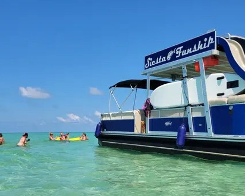 Dolphin & Sandbar Cruise in Sarasota