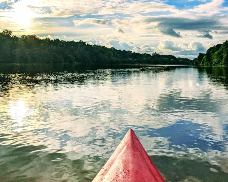 Guided Kayaking Tour in Saxapahaw, NC