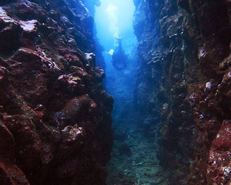 Hilo 4-Hour 2-Tank Boat Dive
