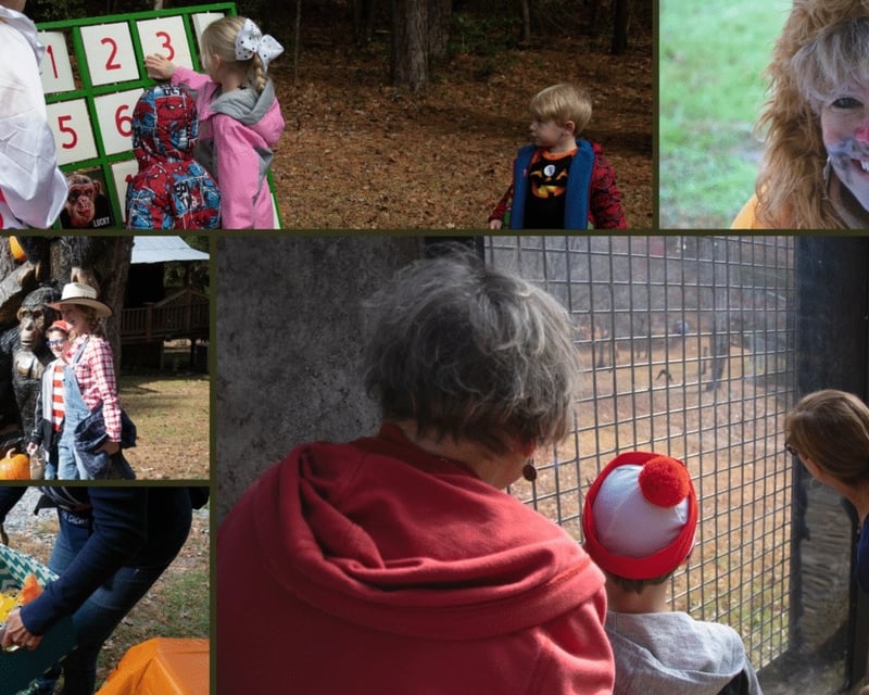Halloween Trick-or-Treat Tour at Project Chimps Sanctuary