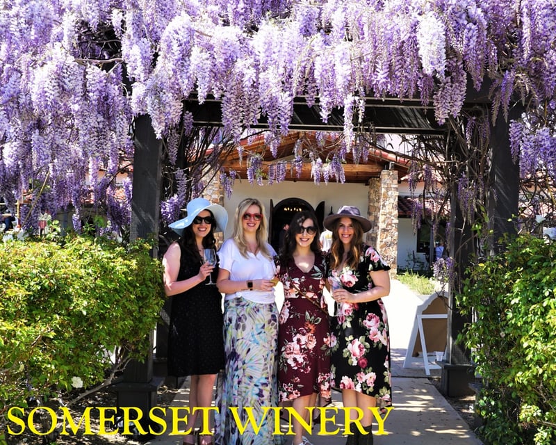 Sunday Wine Tasting Tour in Temecula