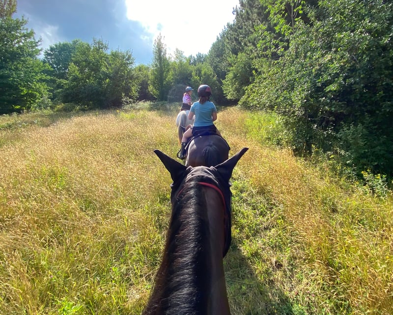 Beginner-Friendly Horseback Trail Ride in Pelkie, MI