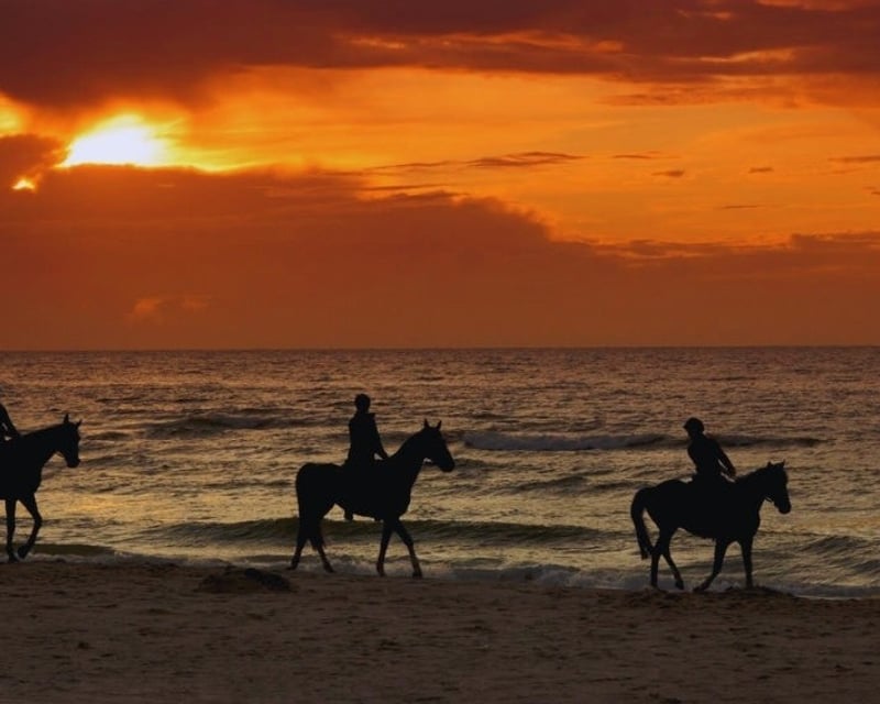 Afternoon Horseback Ride in Aguadilla