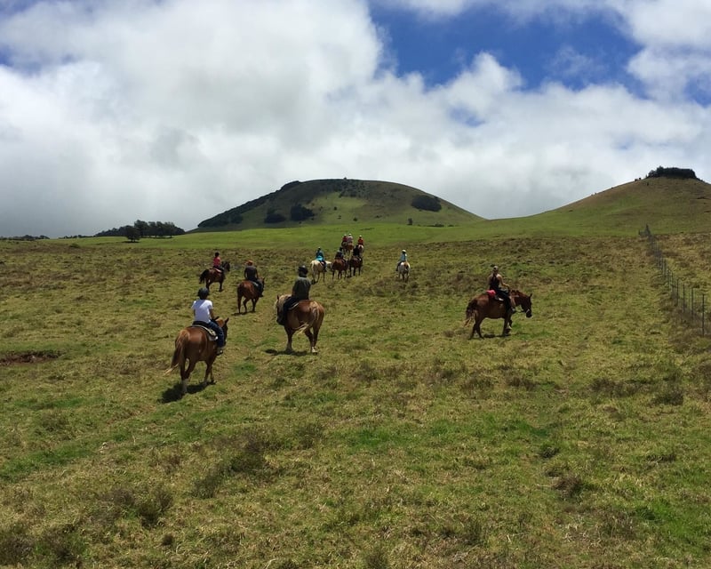 Beginner Horseback Ride on Kohala Mountain, Big Island