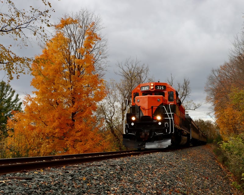St. Croix Valley Fall Colors Train Ride in Osceola