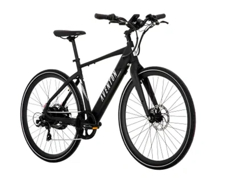 Key West Large E-Bike Rental