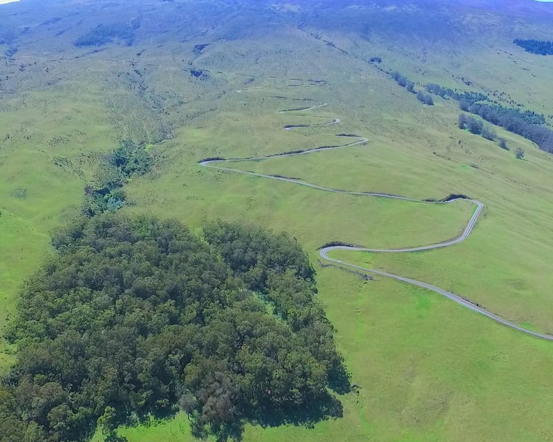 Guided Haleakalā Downhill Bike Tour on Maui