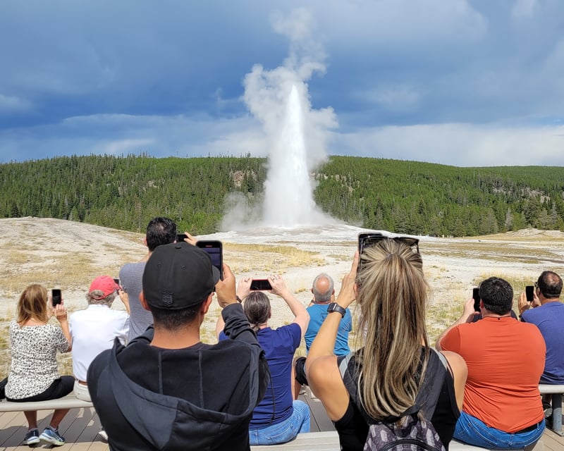 Yellowstone Lower Loop Tour from West Yellowstone & Big Sky