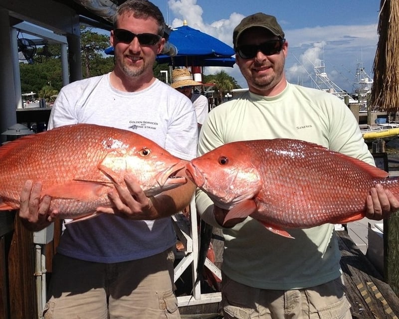 Bottom Fishing Charter in Panama City