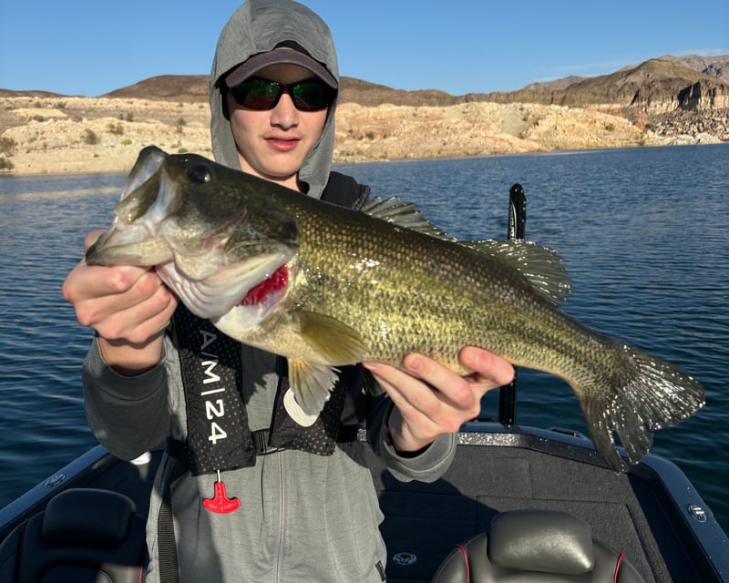 Lake Mead Guided Fishing Charter