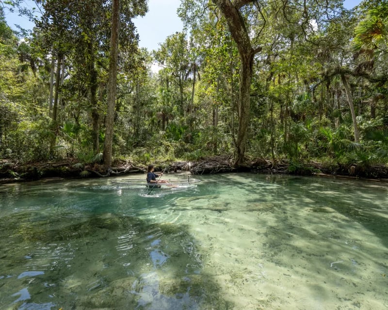 Guided Clear Kayak Tour on Chassahowitzka River