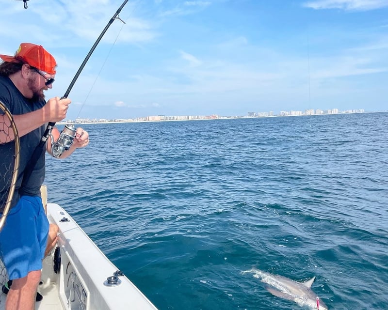 Shark Fishing Charter in Destin