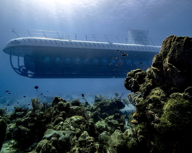 Submarine Tour of Chankanaab Reef in Cozumel
