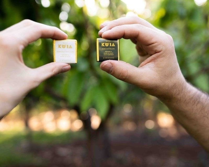 Maui Cacao Farm and Chocolate Factory Experience