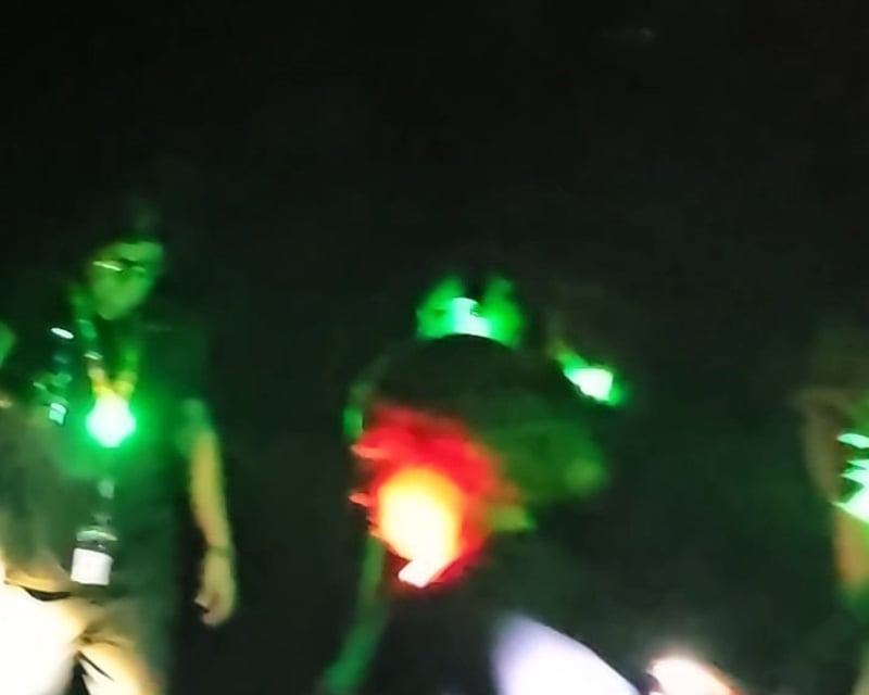 Guided El Yunque Rainforest Night Tour