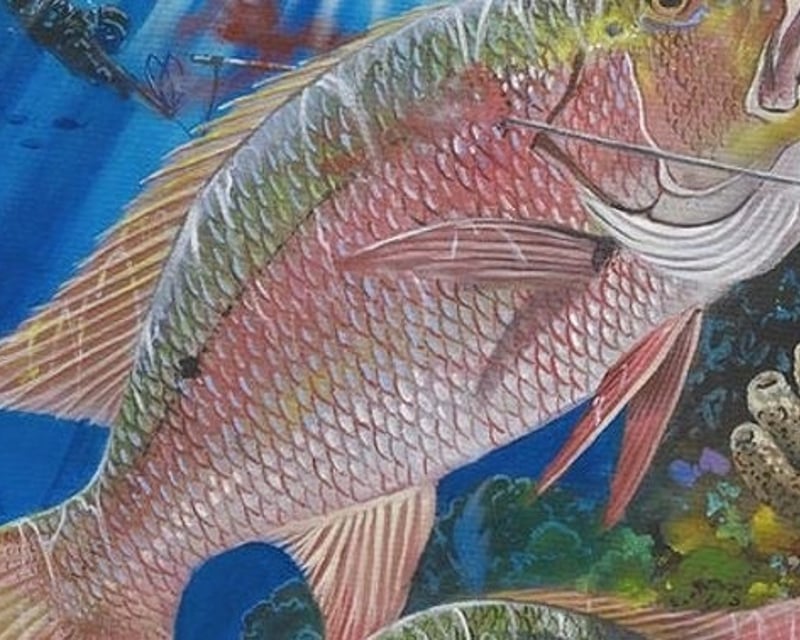 Nearshore Fishing Charter in Rotonda West