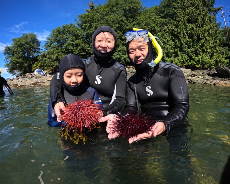 3-Hour Snorkeling Tour in Ketchikan