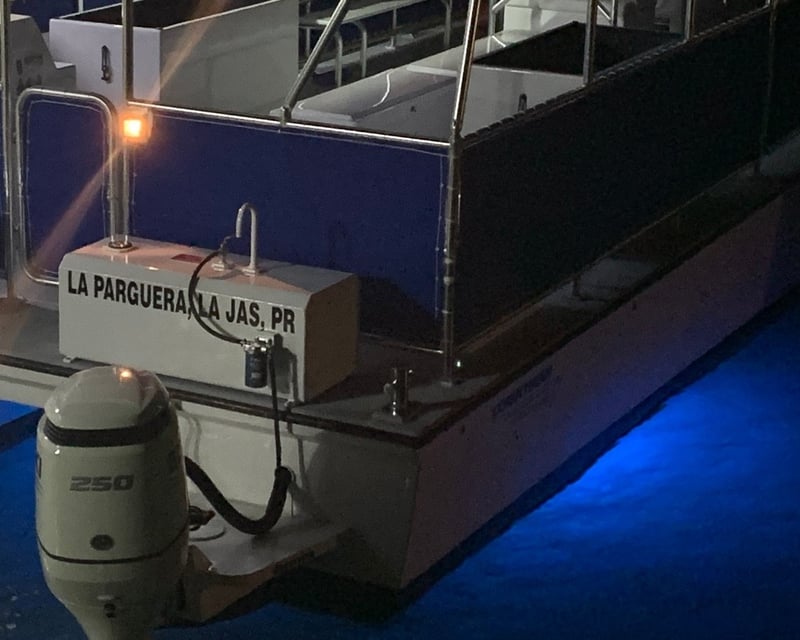 Bioluminescent Bay Boat Tour in La Parguera