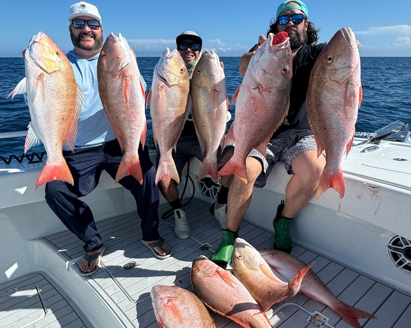 Half-Day Reef, Bay & Wreck Fishing Charter in Big Pine Key