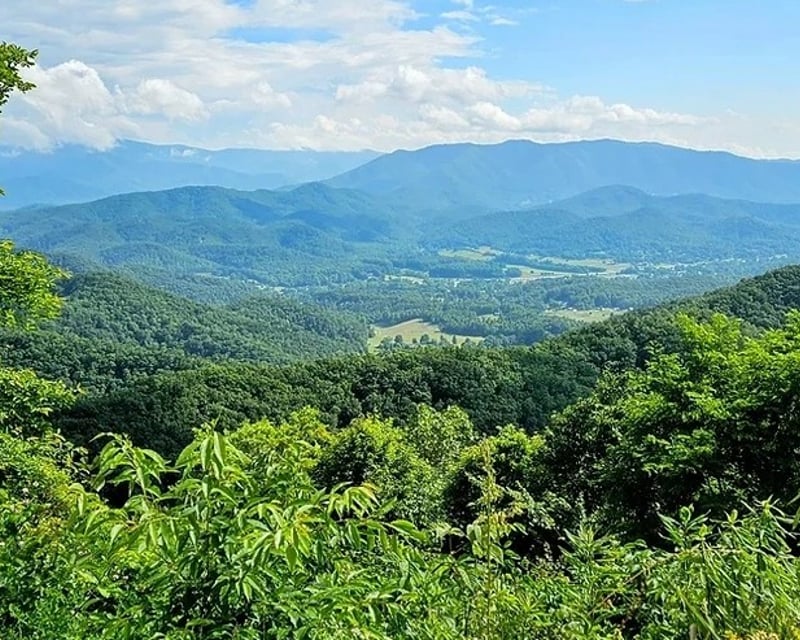 Explore a 3-Hour Guided Tour in Pigeon Forge