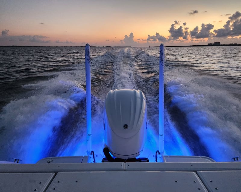 Light-Up Night Boat Cruise in Fort Myers