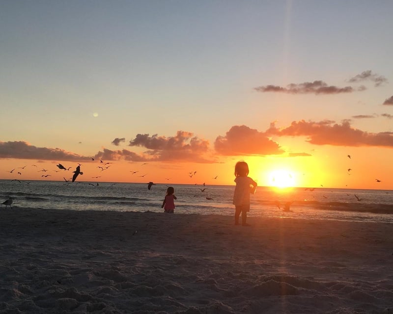 Private Sunset Eco Boat Tour Near Marco Island