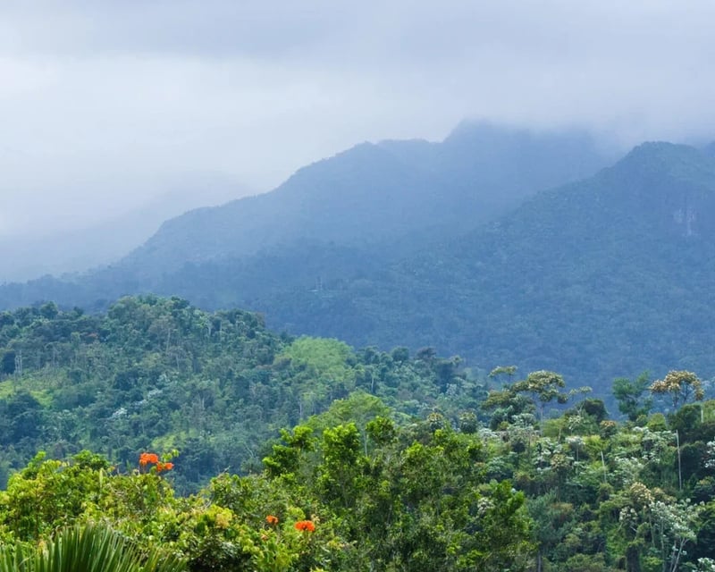 Puerto Rico Rainforest Waterslide Guided Tour