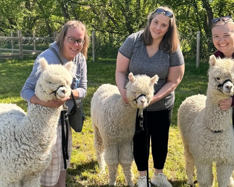 Guided Alpaca Walk at Eagle Eye Farm
